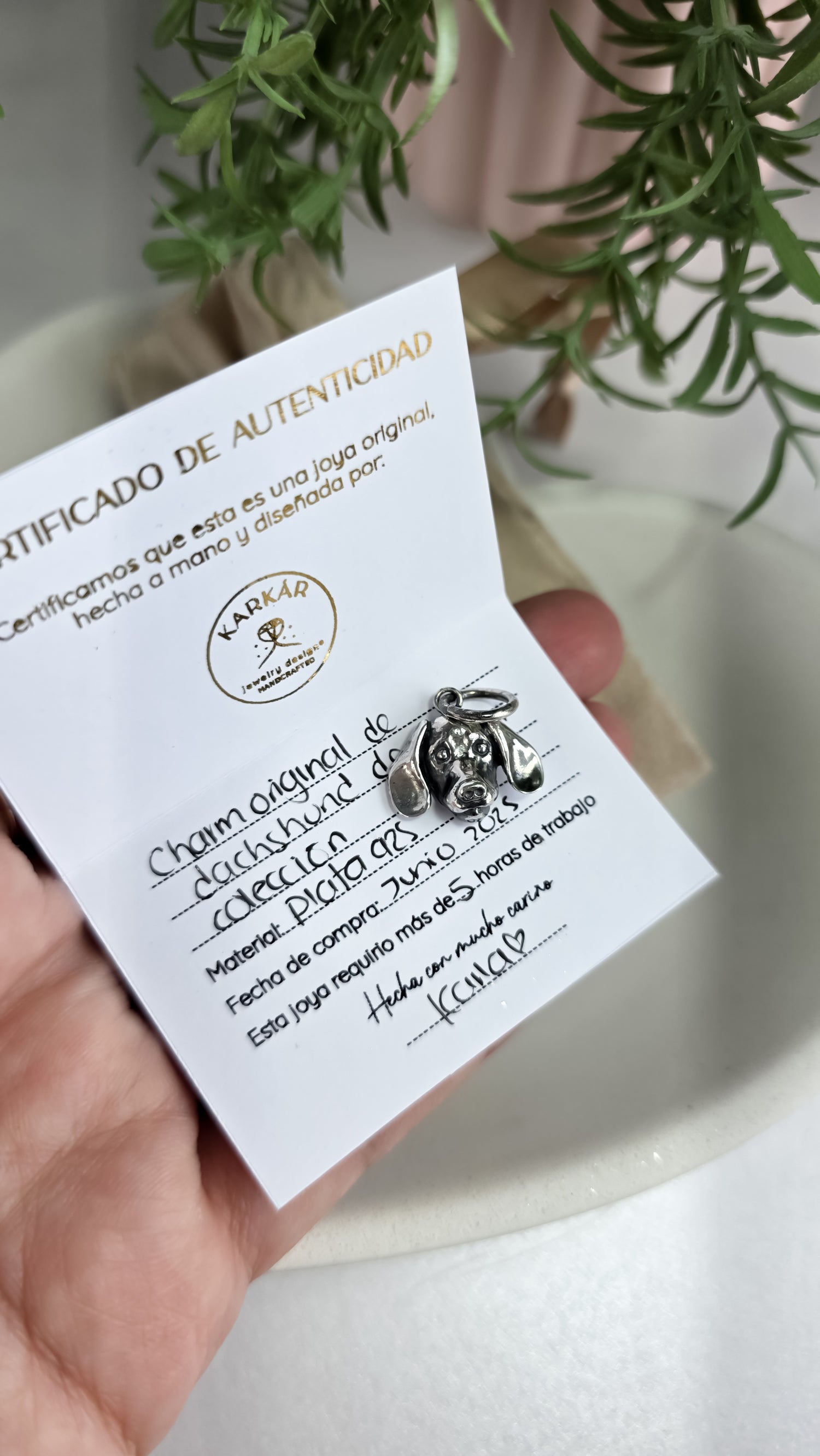 Charms | Colección Eterna
