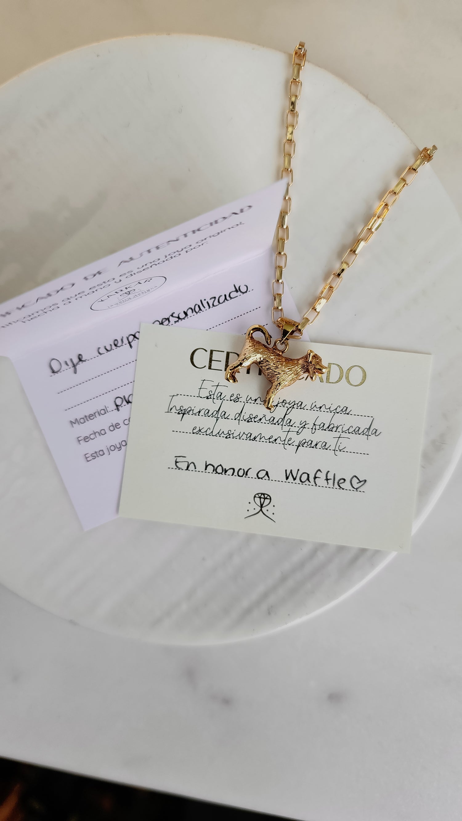 Tu perrito, gatito o animalito cuerpo completo | Personalizados