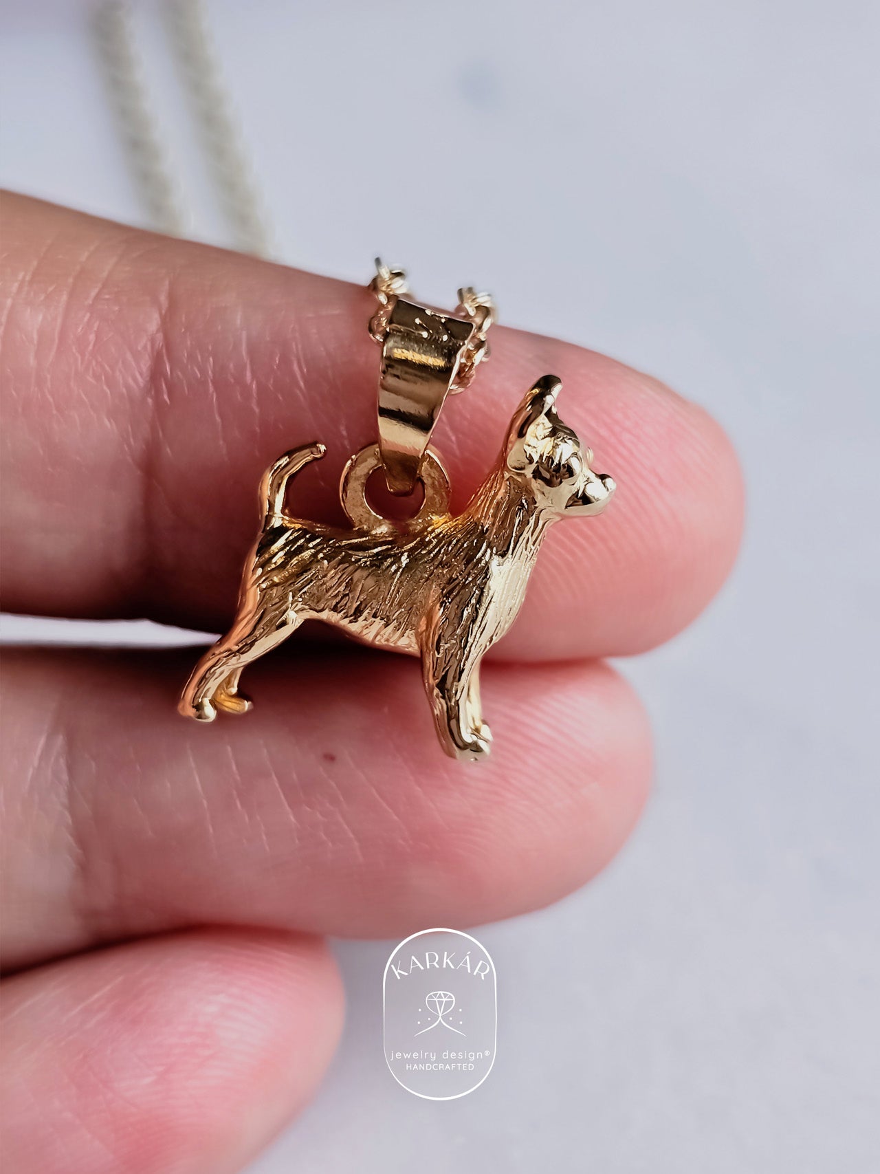 Dije de Chihuahua cuerpo completo