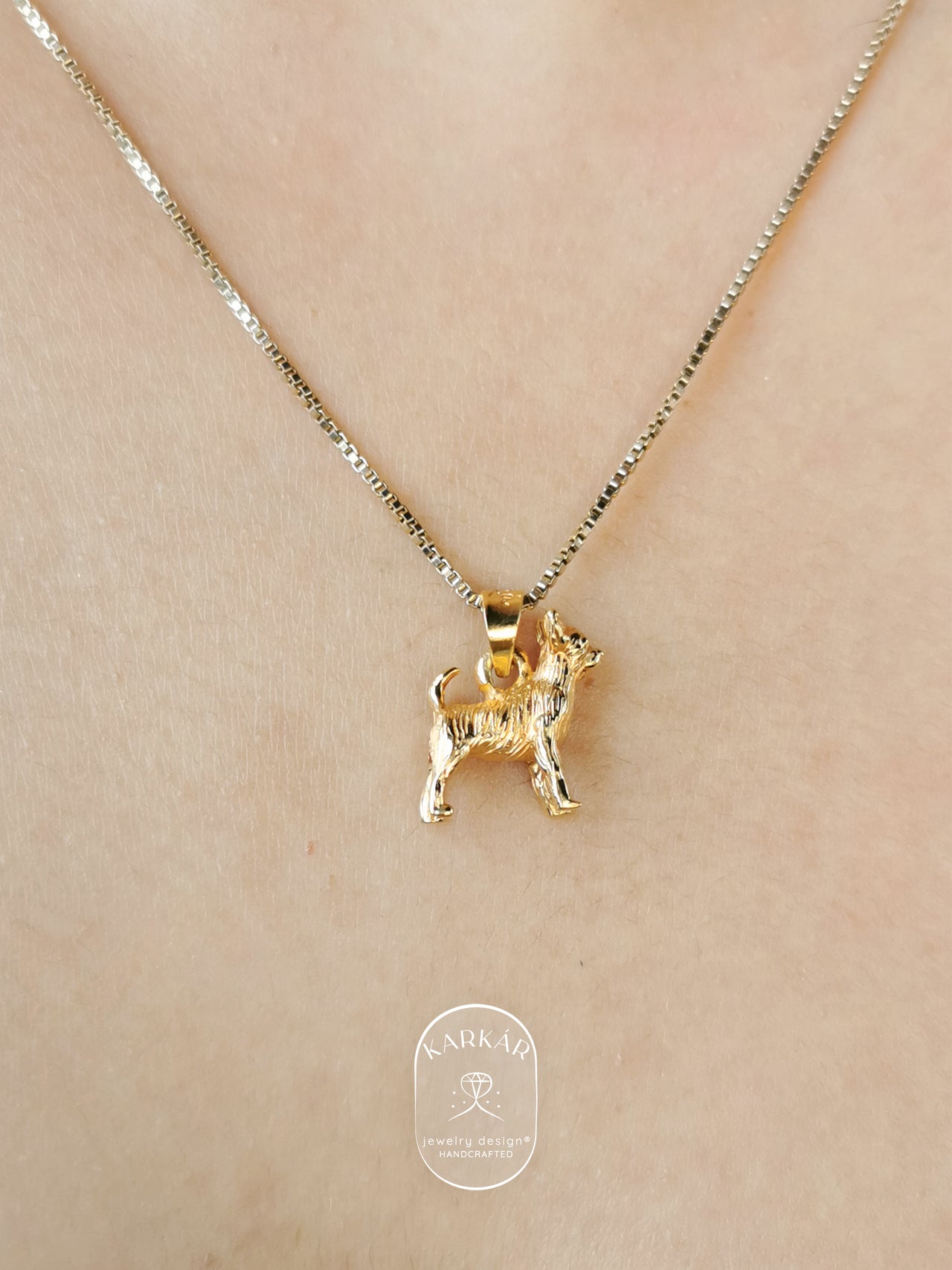 Dije de Chihuahua cuerpo completo