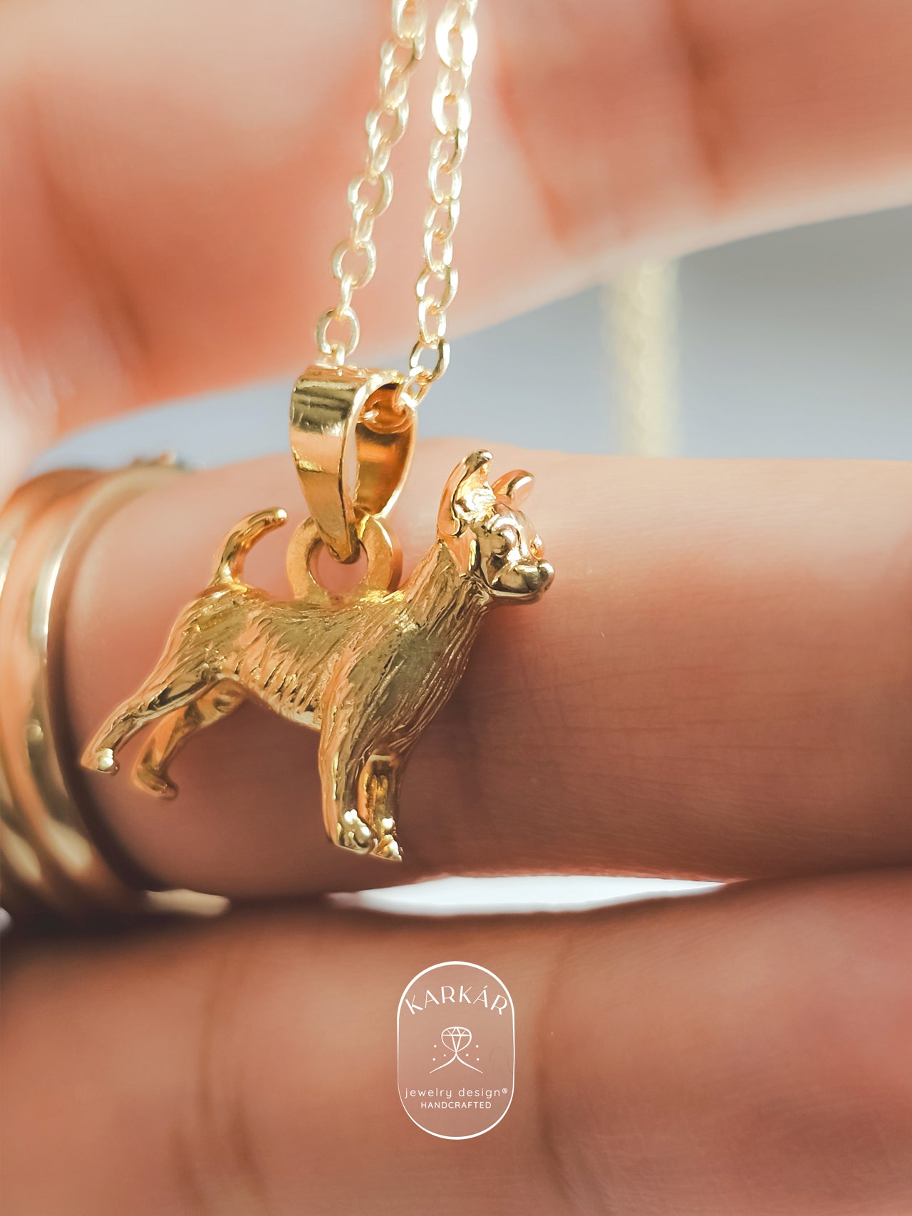 Dije de Chihuahua cuerpo completo