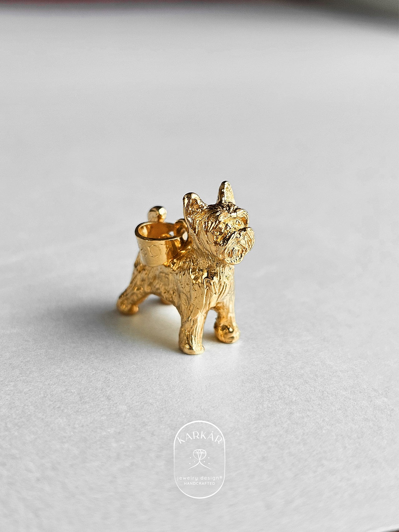 Dije de Yorkie cuerpo completo