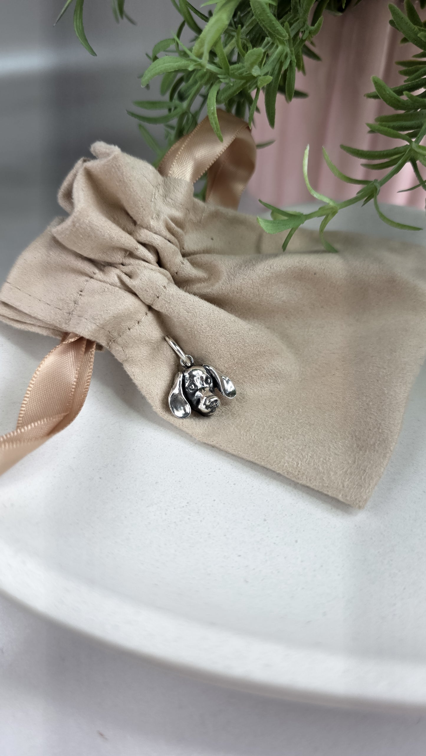 Charm de Daschund cara chica