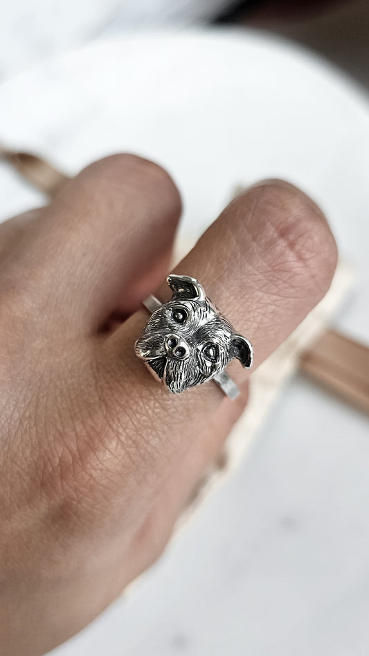 Anillo de Pitbull cara chica