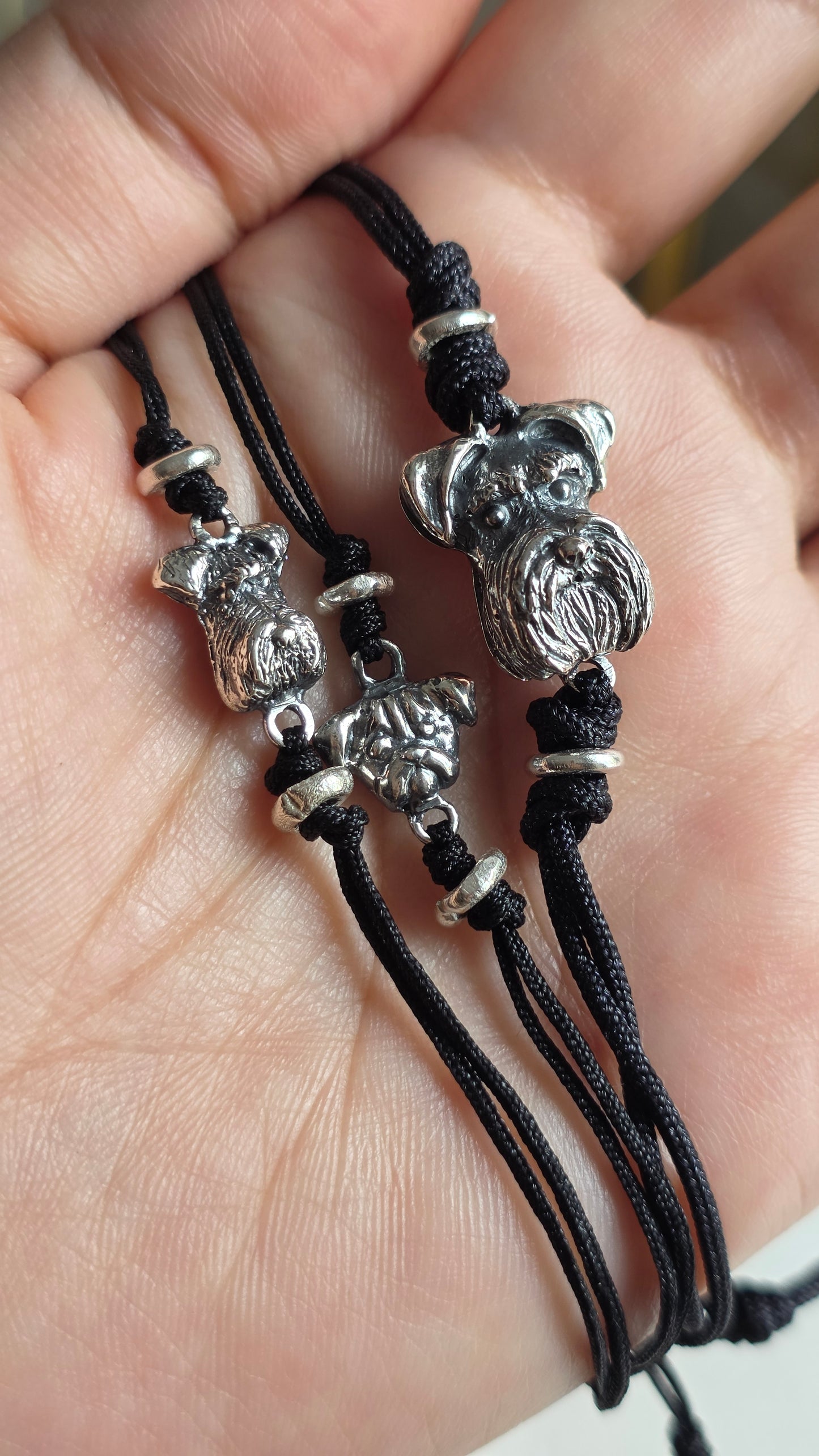 Brazalete de Schnauzer cara chica