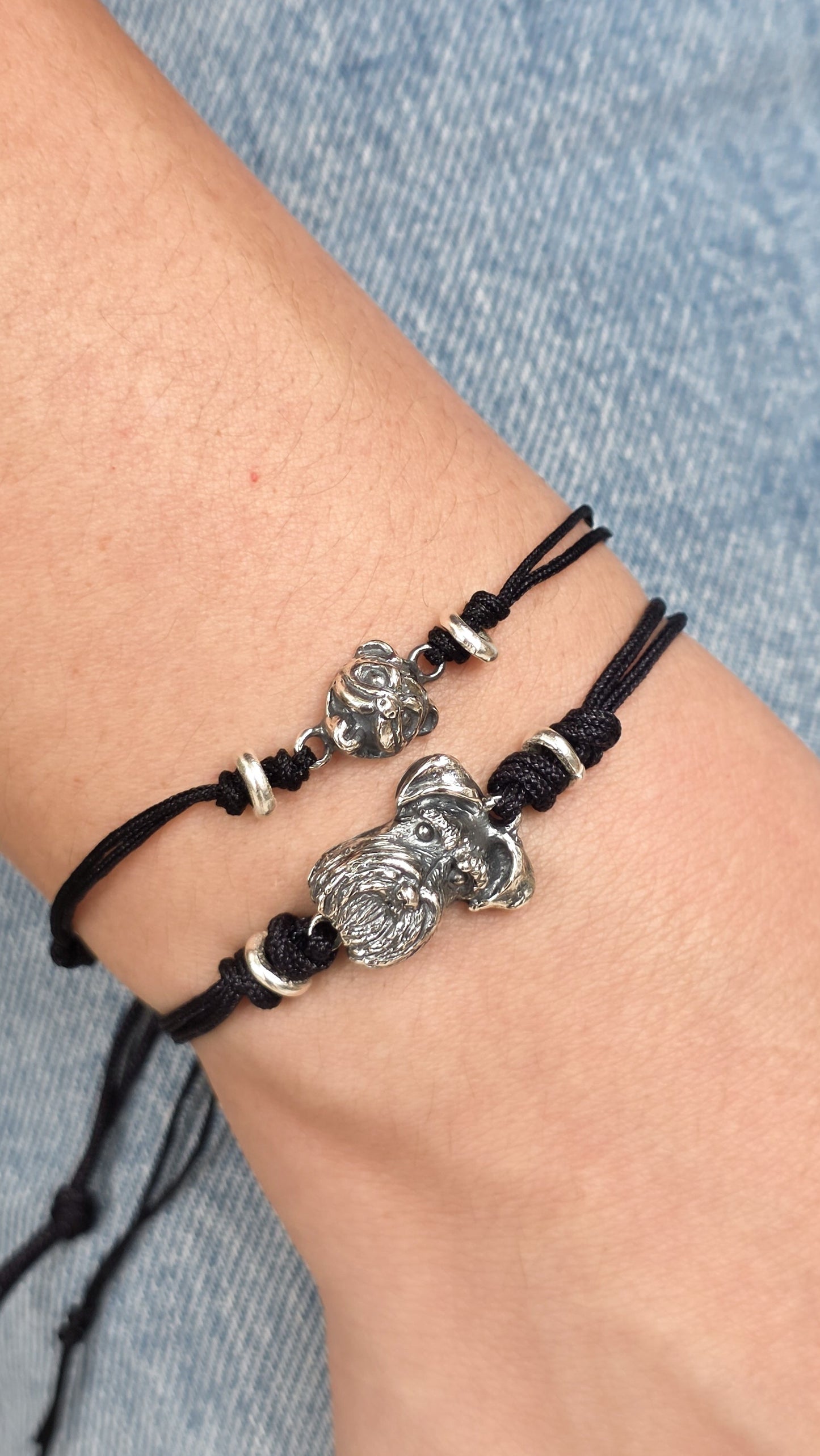 Brazalete de Schnauzer cara chica