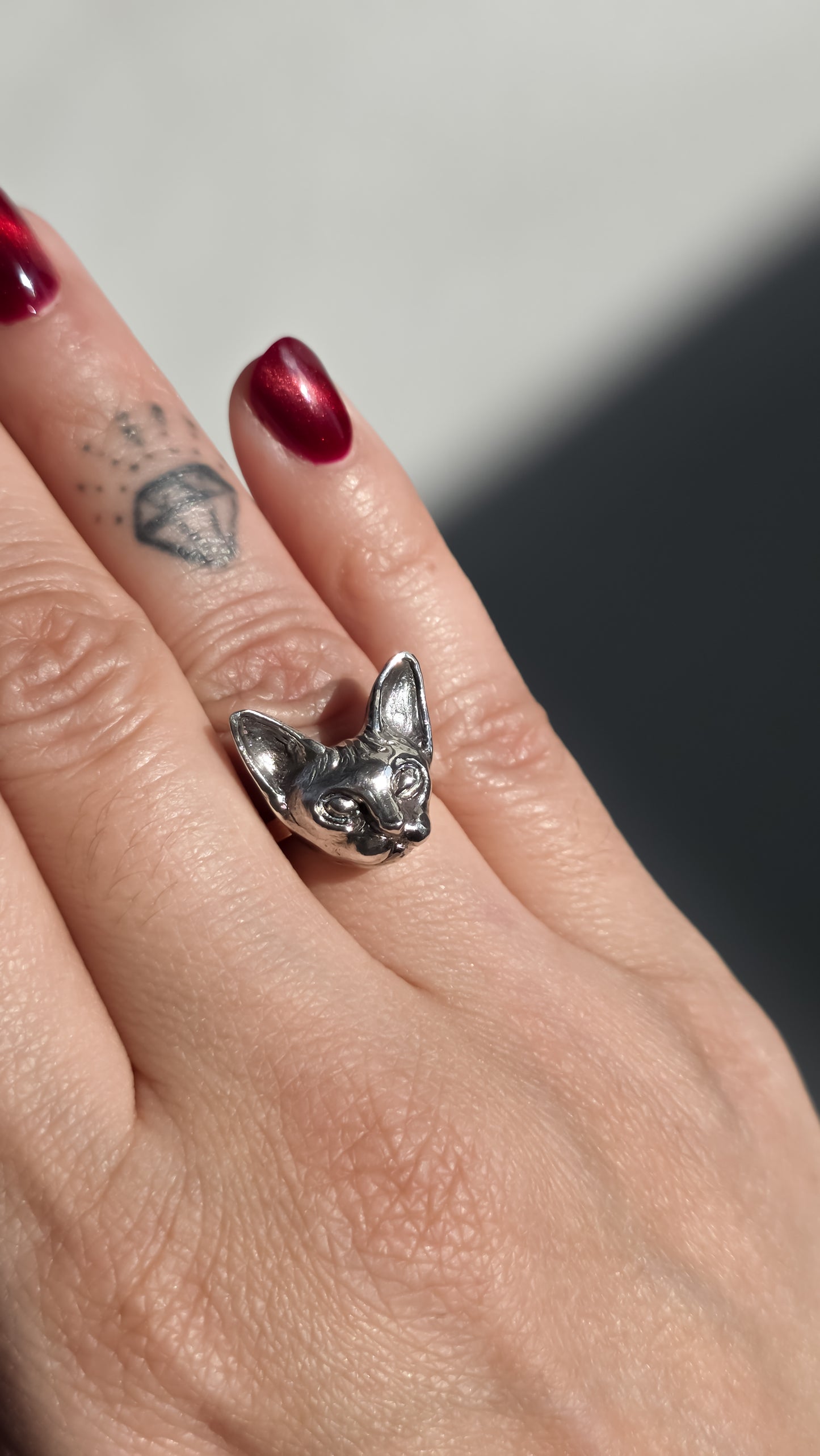 Anillo de Gato Esfinge cara chica